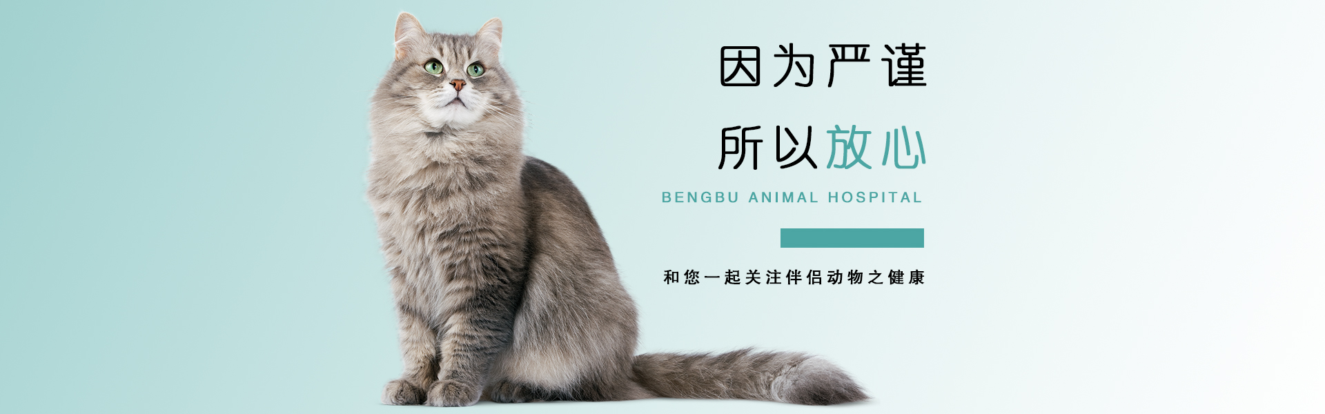 蚌埠元亨动物医院，蚌埠宠物医院，蚌埠动物医院