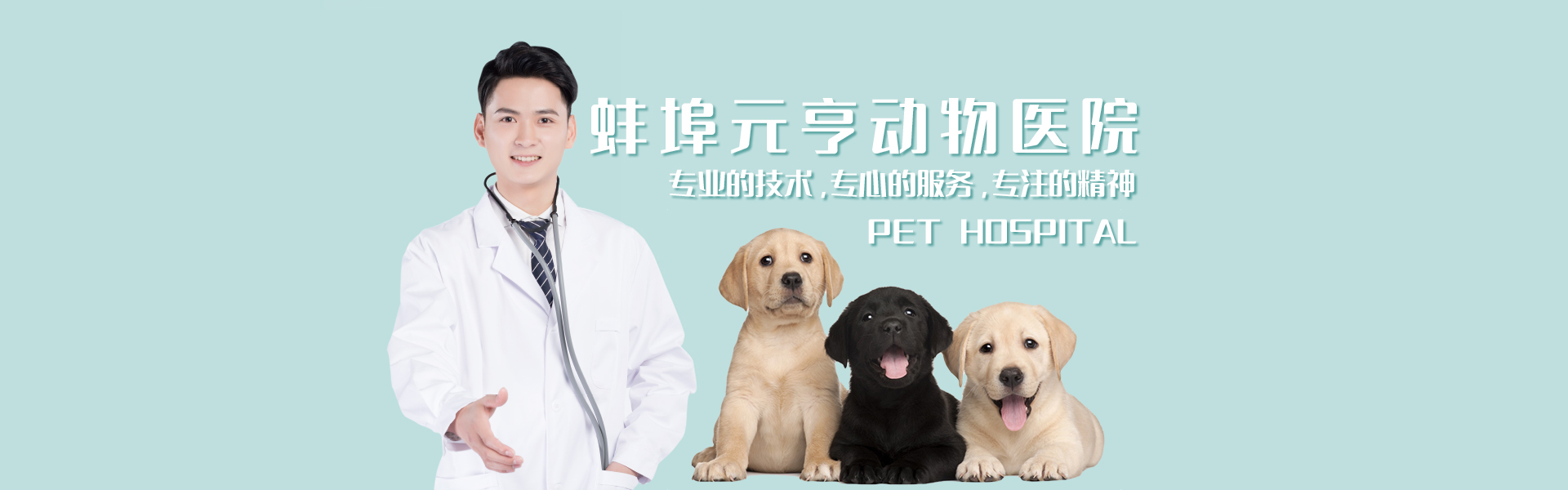 蚌埠元亨动物医院，蚌埠宠物医院，蚌埠动物医院