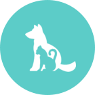 蚌埠元亨动物医院，蚌埠宠物医院，蚌埠动物医院